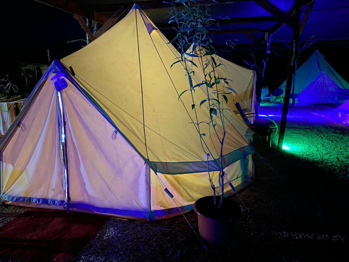 Aurora Glamping 豪華帳篷 Vama Veche
