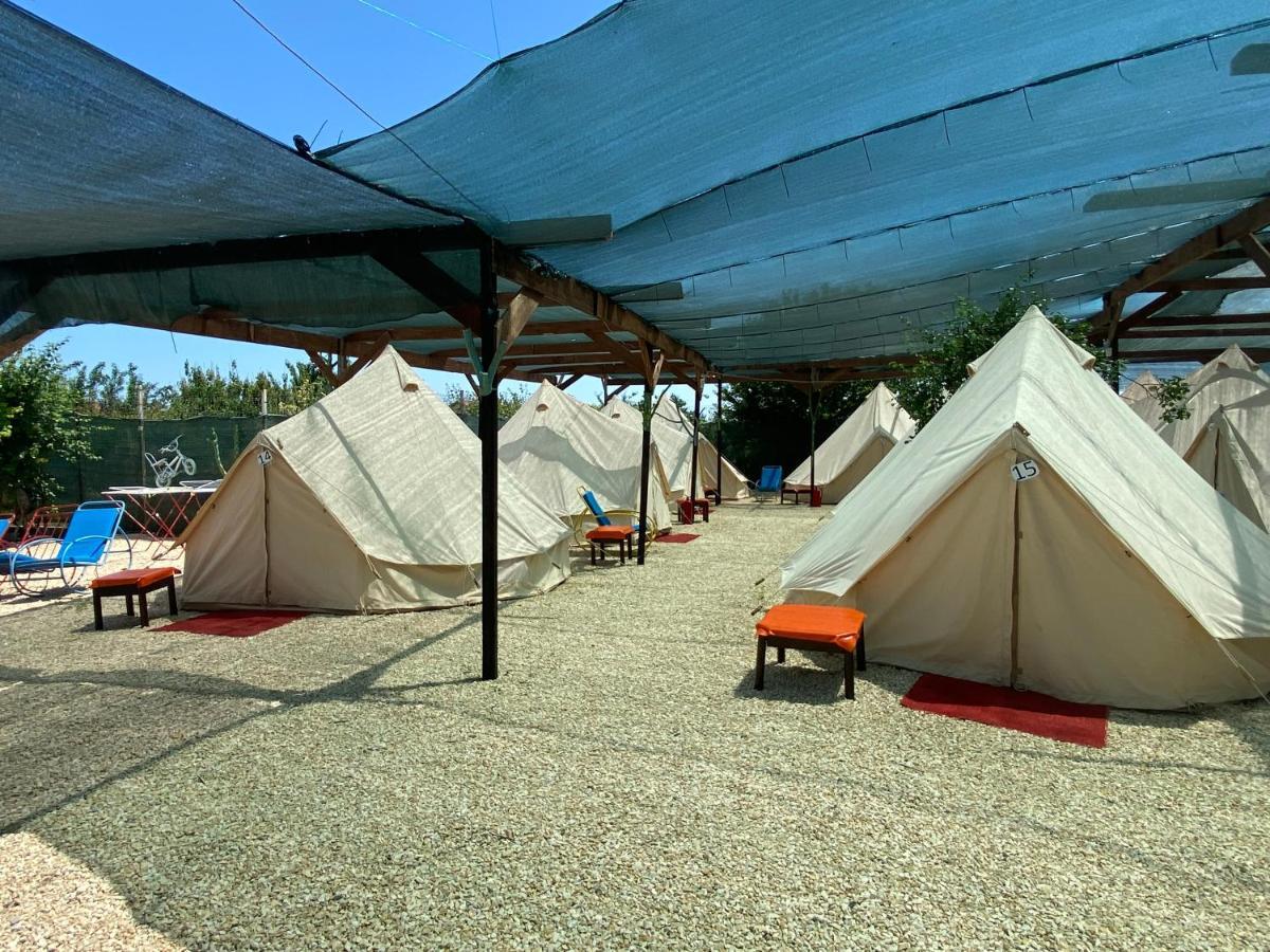 Aurora Glamping 2*