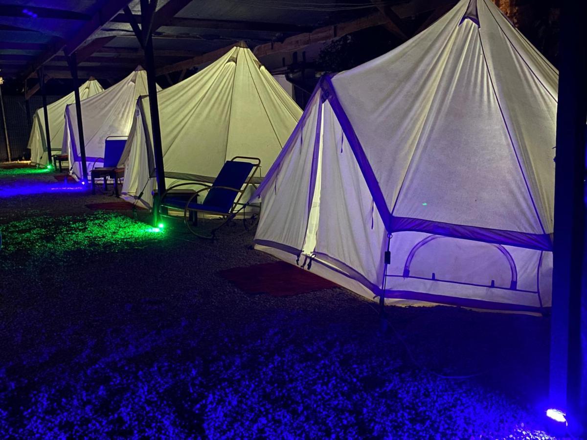 Aurora Glamping 2*