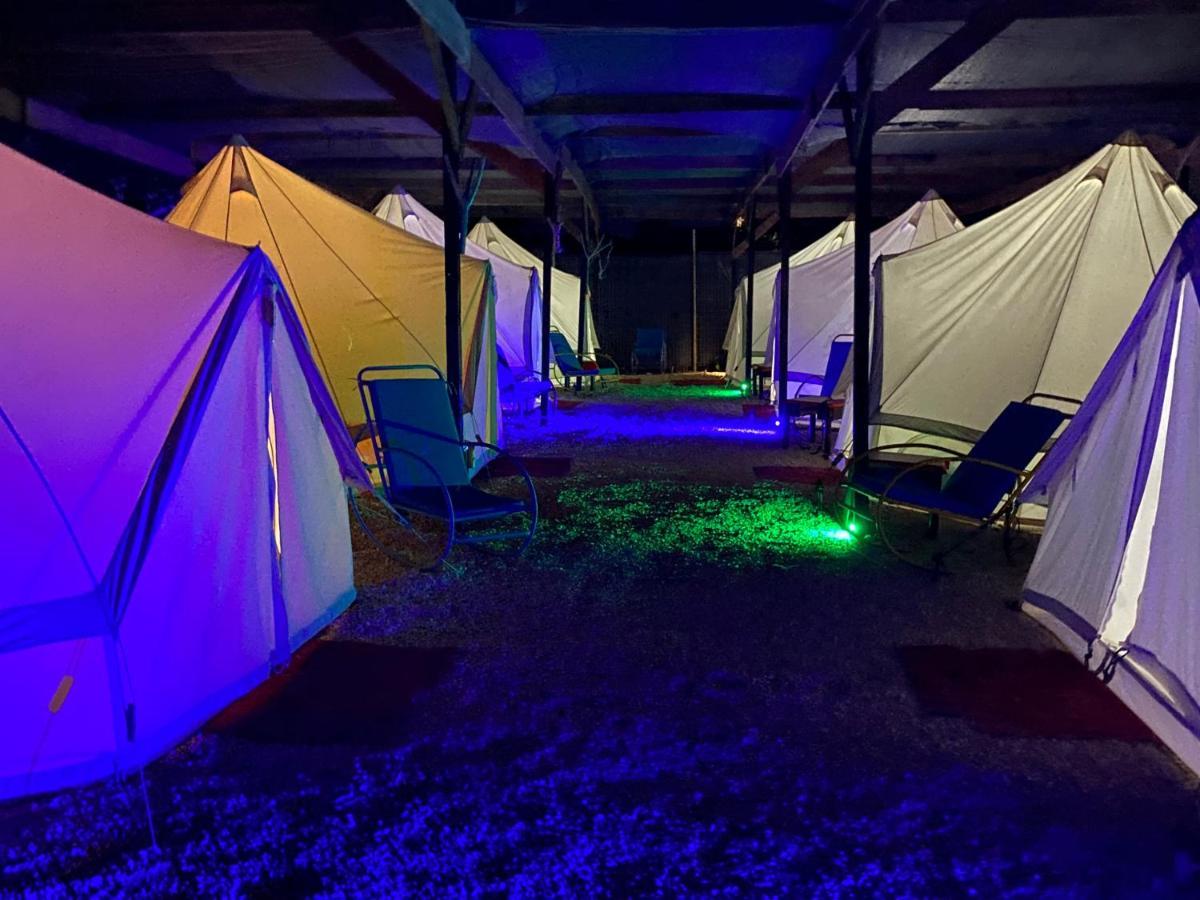 Aurora Glamping Vama Veche