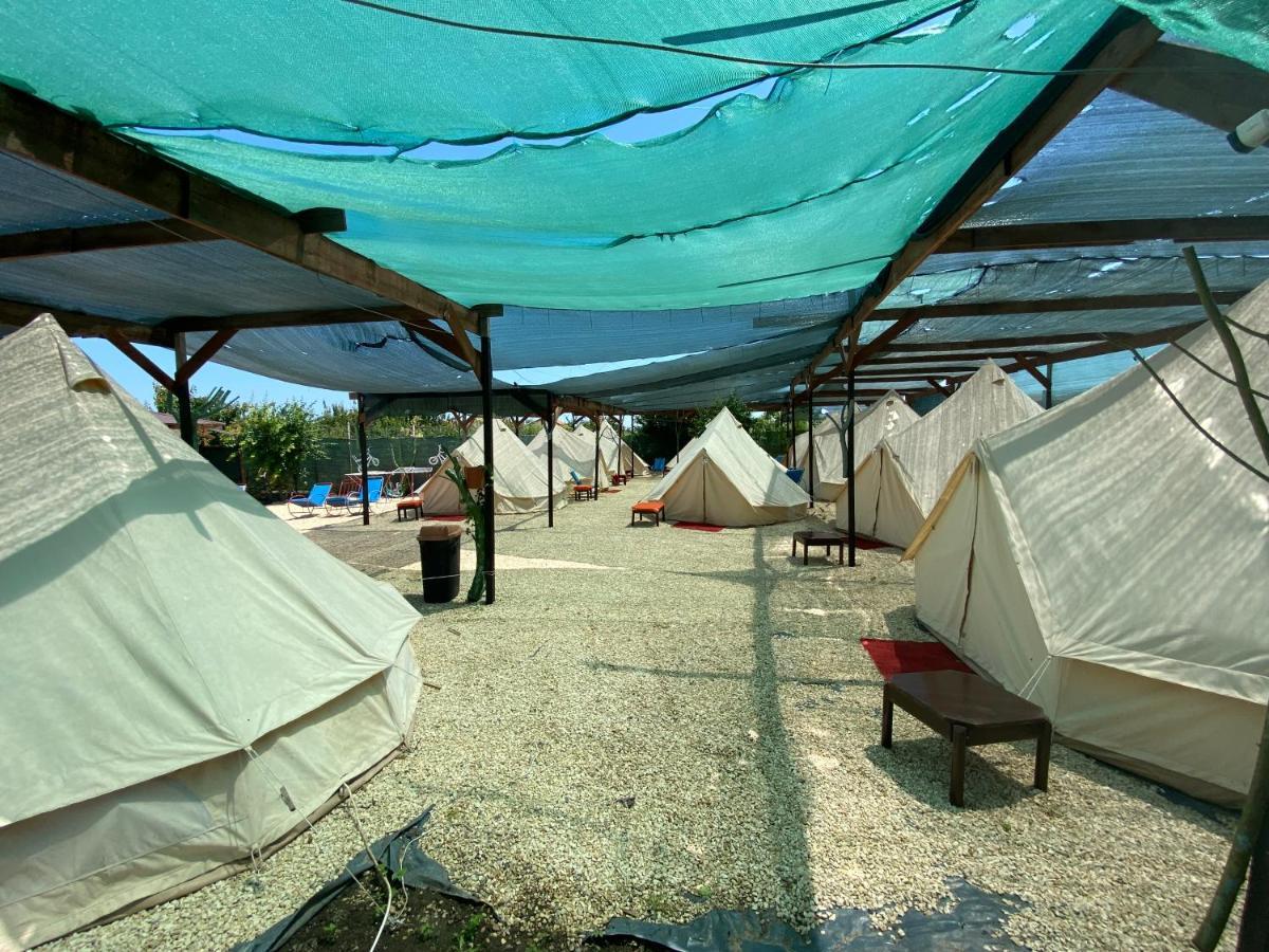 Aurora Glamping 2* Vama Veche
